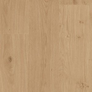 Transom Artifact Brown Oak